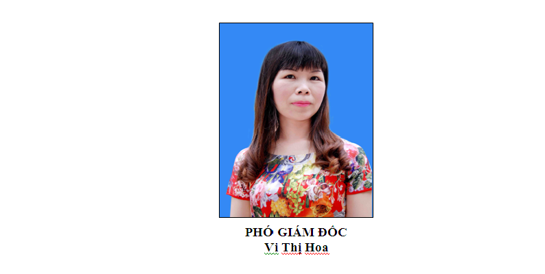 Phó giám đốc Vi Thị Hoa